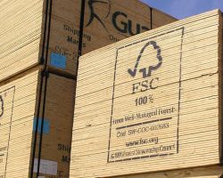 Certifikované dřevo FSC dovážíme ze zahraničí, zatímco české dřevo hnije na skládkách