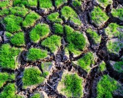 Vláda schválila Národní akční plán adaptace na změnu klimatu