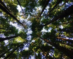 Dopady změny klimatu v Evropě