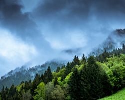 Zelený kruh a klimatická koalice vítají studentskou stávku