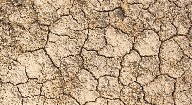 Klimatické změny způsobují extrémní sucha. A sucha zase zhoršují oteplování 