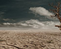 V ČR je pouze 20 % půd neohrožených suchem