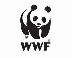 WWF: EU při boji s klimatickými změnami podvádí 