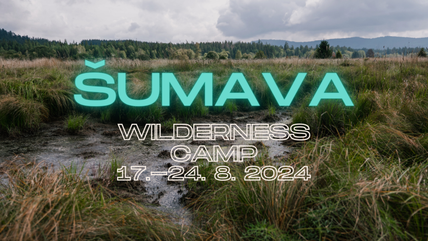 Mezinárodní Dobrovolnický tábor v NP Šumava 2024