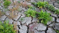 Dramatické výkyvy počasí jako projev měnícího se klimatu