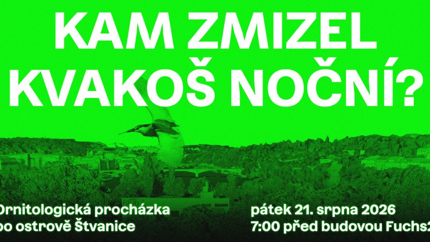 IPUP: Ornitologická procházka po Štvanici