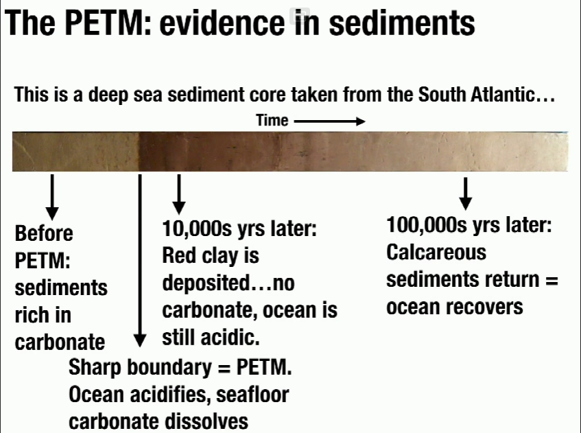 Permsko-triasové vymírání je jasně vidět i v sedimentu oceánů. Změna barvy ukazuje vymírání mořských organismů – tmavá znamená méně vápníku ze schránek živočichů.