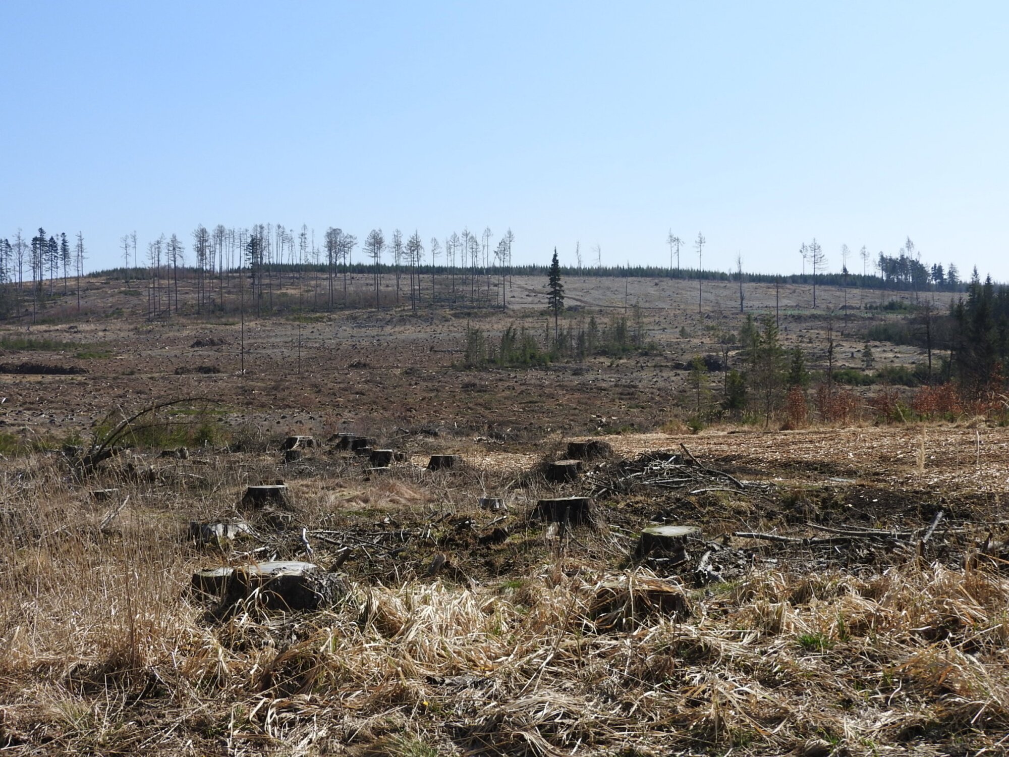 Výhled na zpustošené lesy a holé hřebeny nejvíce trápí místní lidi. Autor: Ondřej Bačík, HN