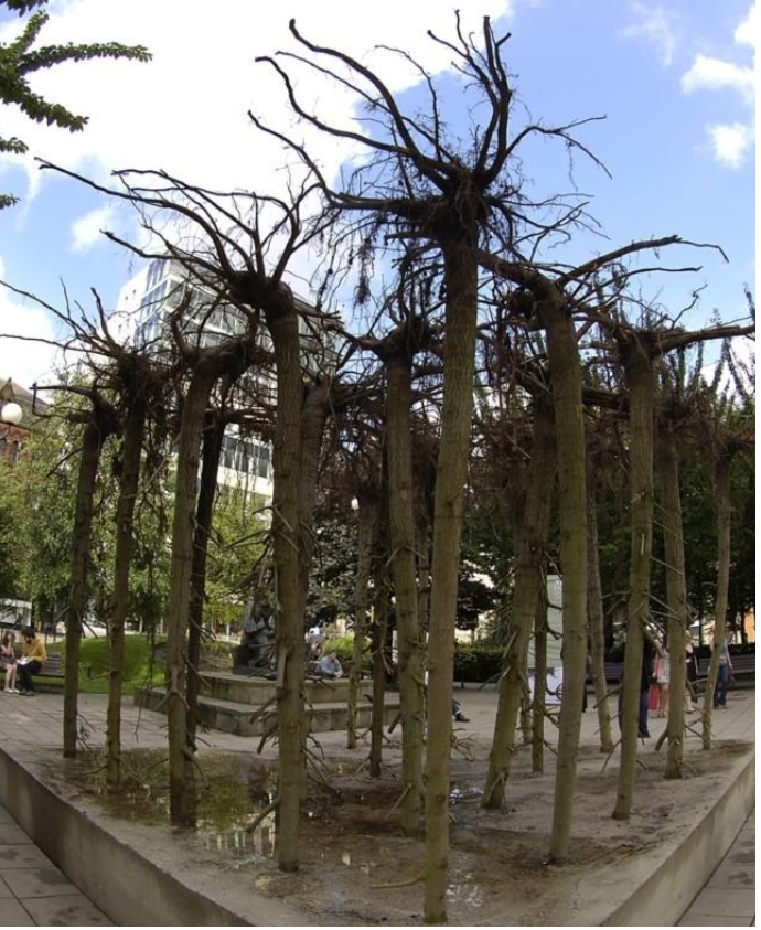 trees